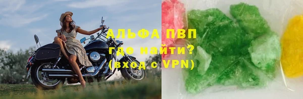 прущие грибы Липки